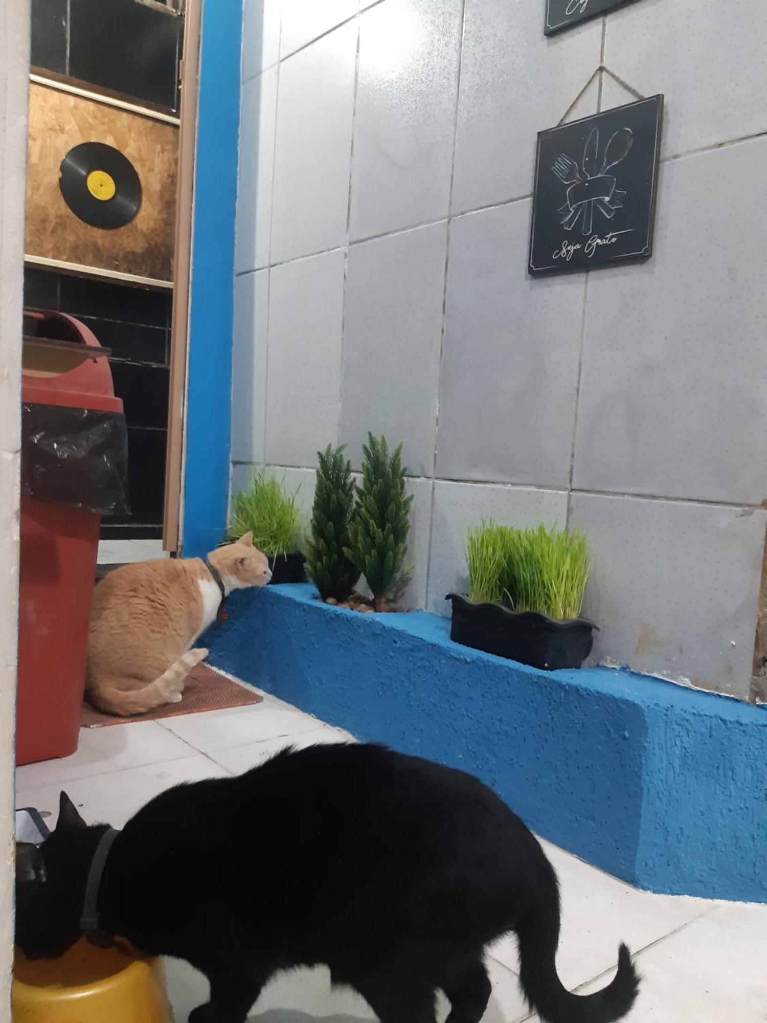 Sapucali Privative Hostel Рио де Жанейро Екстериор снимка